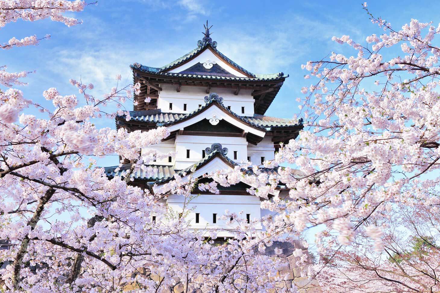 Tarif dan metode pemesanan tiket Shinkansen dari Hakodate ke Aomori