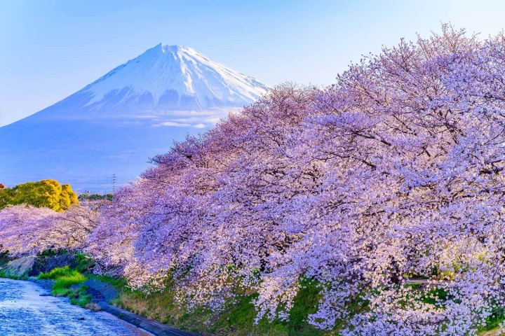 Tarifas del Shinkansen y métodos de reserva de billetes de Kioto a Fuji