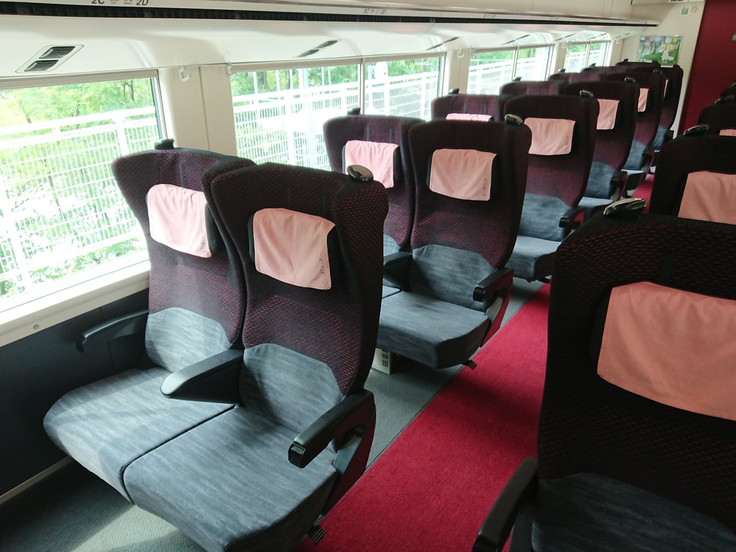 Dentro del tren (Fuji Excursion)