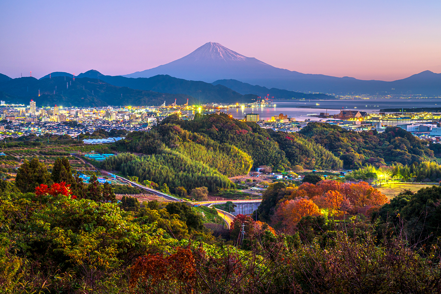 Tarifas del Shinkansen y métodos de reserva de billetes de Osaka a Shizuoka - Ekitan