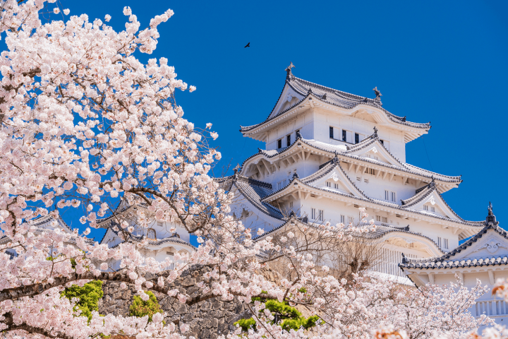 Tarif dan metode pemesanan tiket Shinkansen dari Hakata ke Himeji