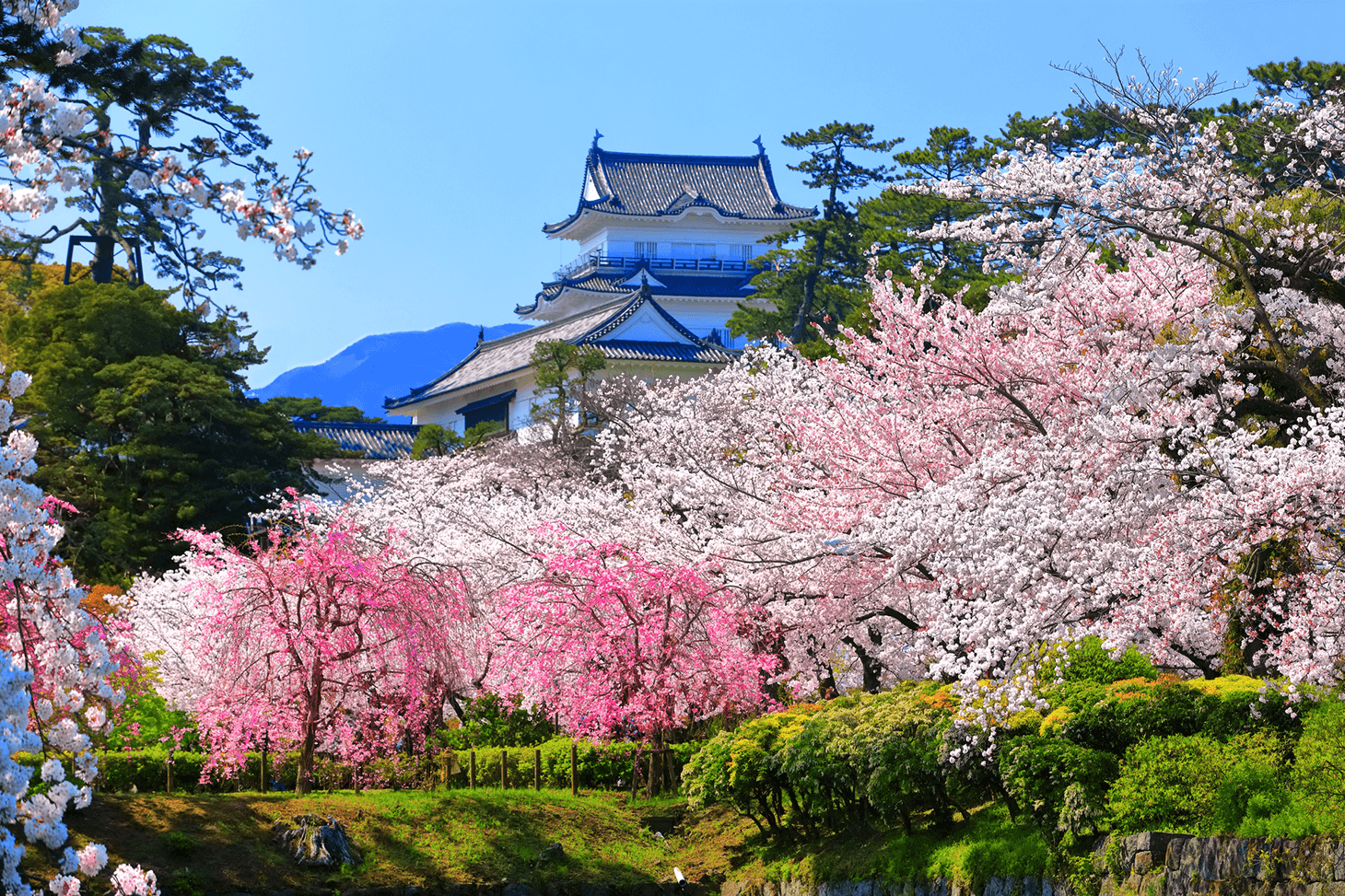 Tarifas del Shinkansen y métodos de reserva de billetes de Osaka a Odawara - Ekitan
