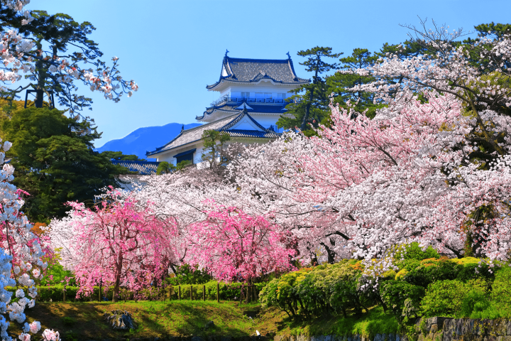Tarifas del Shinkansen y métodos de reserva de billetes de Osaka a Odawara