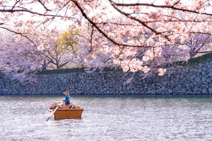 Tarifas del Shinkansen y métodos de reserva de billetes de Kioto a Himeji