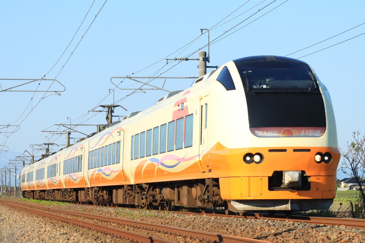 Horarios, tarifas y cómo comprar billetes del tren Limited Express "INAHO" - Ekitan