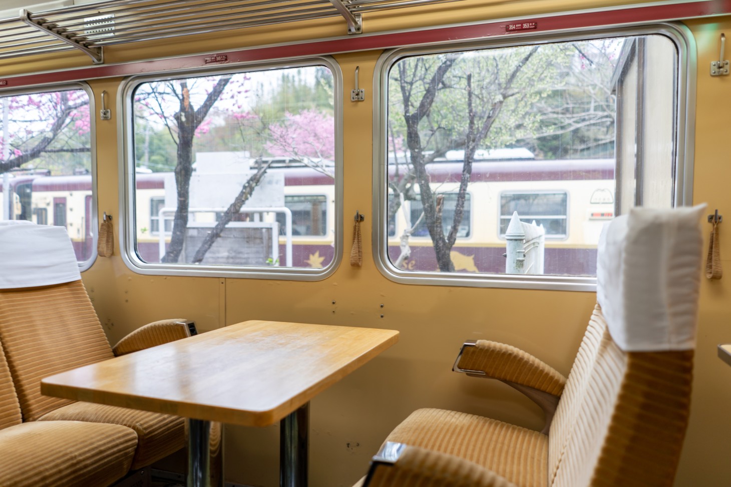 Inside the "TOROKKO WATARASE KEIKOKU" train