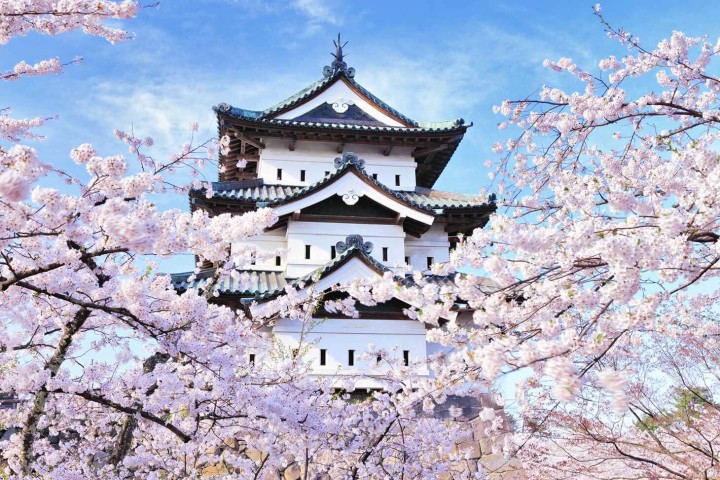 Tarifs et modalités de réservation des billets de Shinkansen entre Hakodate et Aomori