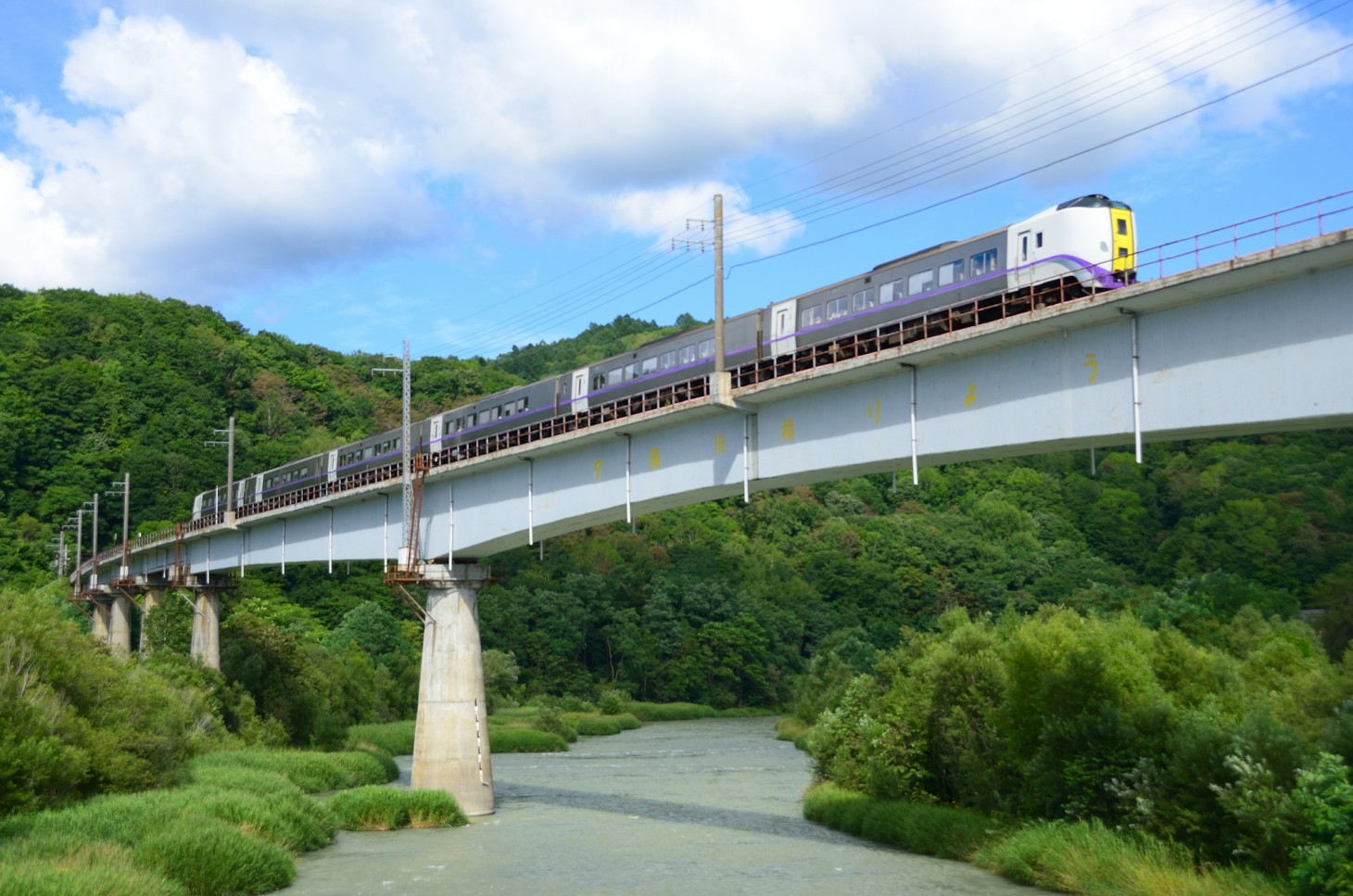 El tren Limited Express "OZORA" cruza un puente ferroviario.