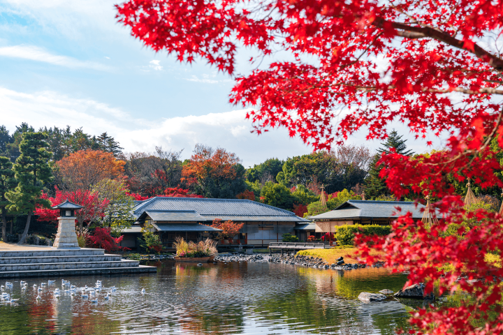 Tarifas del Shinkansen y métodos de reserva de billetes de Kokura a Nagoya