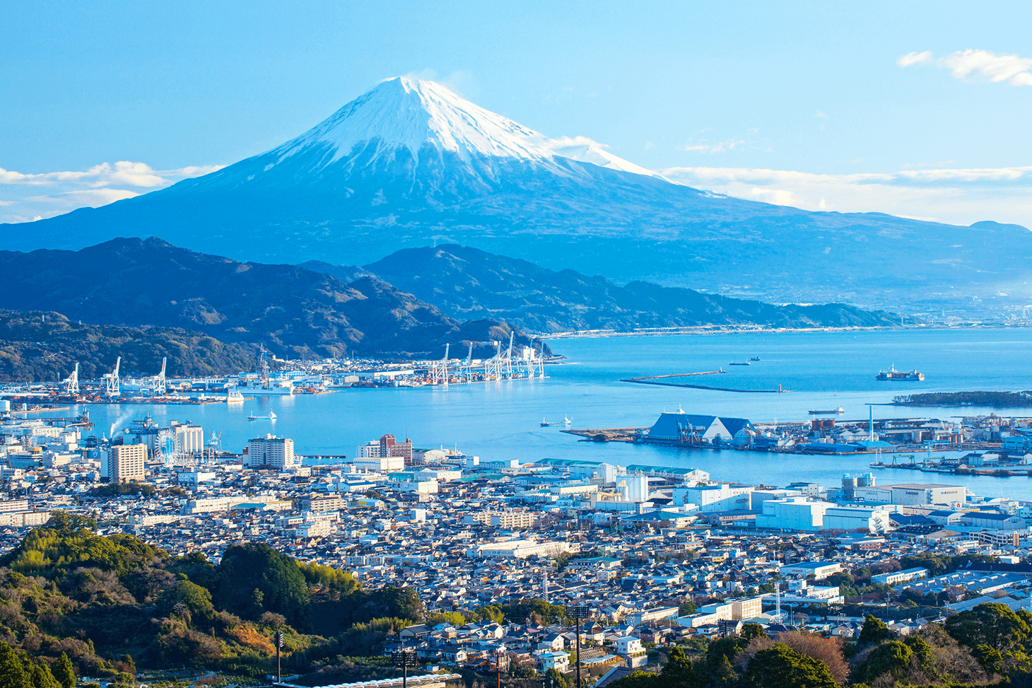 Tarifas del Shinkansen y métodos de reserva de billetes de Tokio a Shizuoka - Ekitan