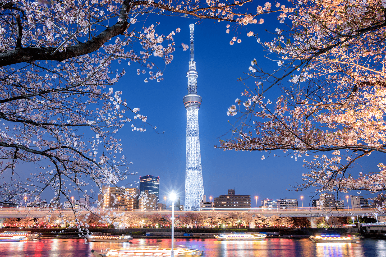 Tarifas del Shinkansen y métodos de reserva de billetes de Hakodate a Tokio - Ekitan