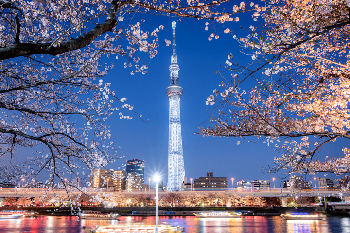 Tarifs et modalités de réservation du Shinkansen entre Hakodate et Tokyo