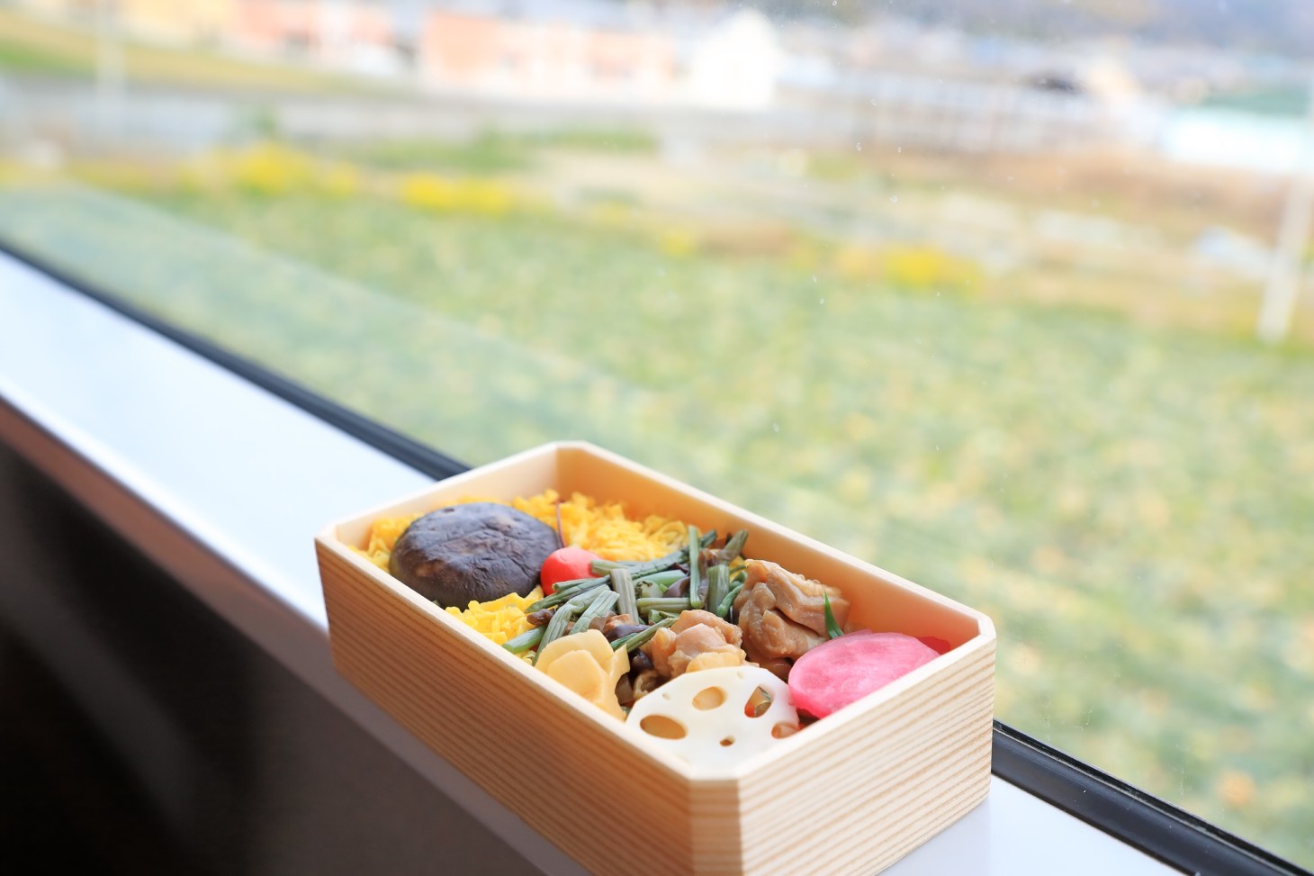 Train window view and ekiben (train station bento box)
