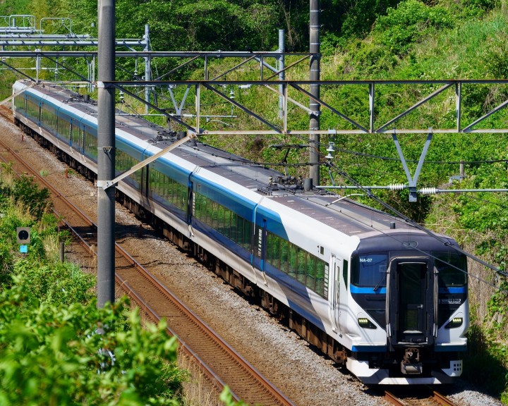 Horarios, tarifas y cómo comprar billetes del Limited Express "Shonan"