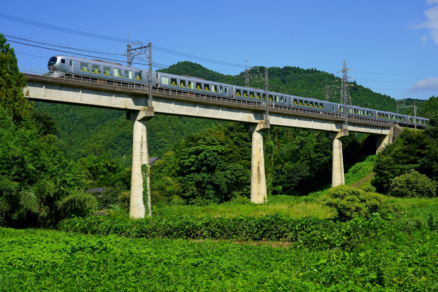 Limited Express 「CHICHIBU」 열차