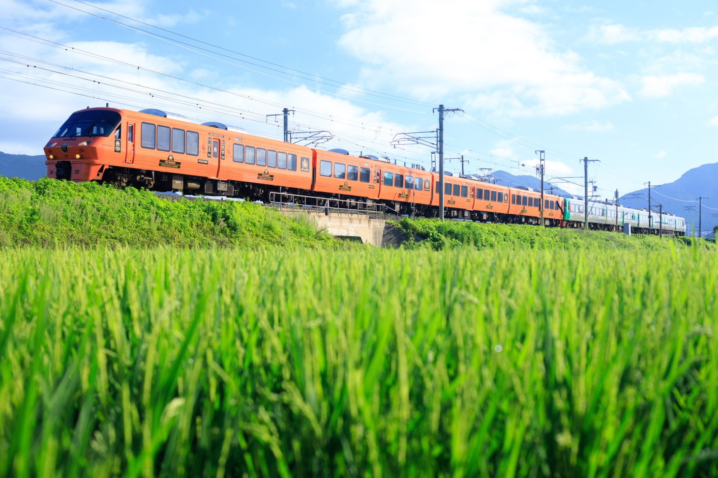 Limited Express 「HUIS TEN BOSCH」의 차체