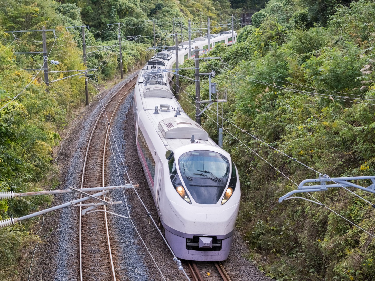 Limited Express 「HITACHI」 열차
