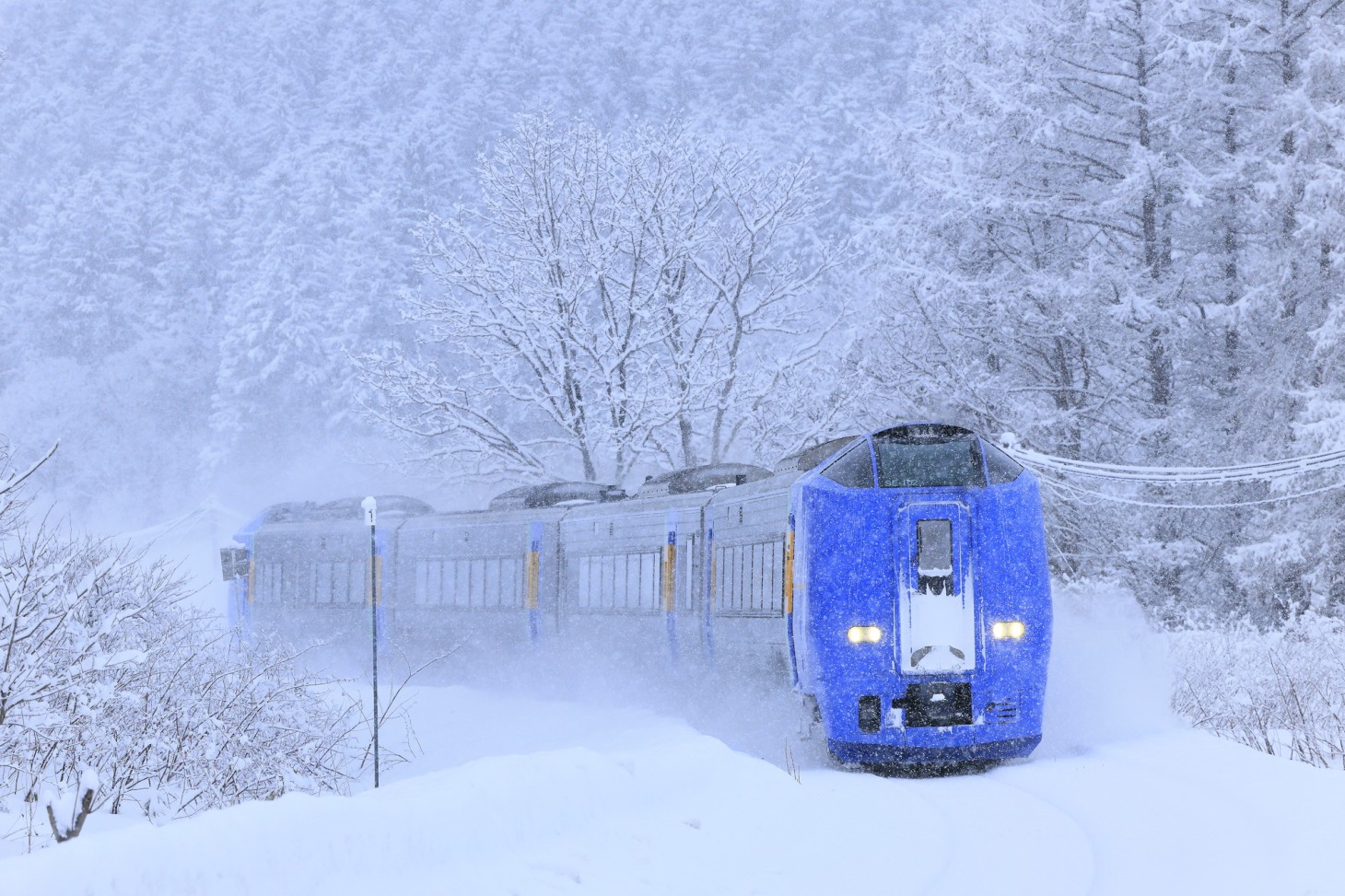 Limited Express "SAROBETSU" Timetable, Fares, and How to Buy Tickets - Ekitan